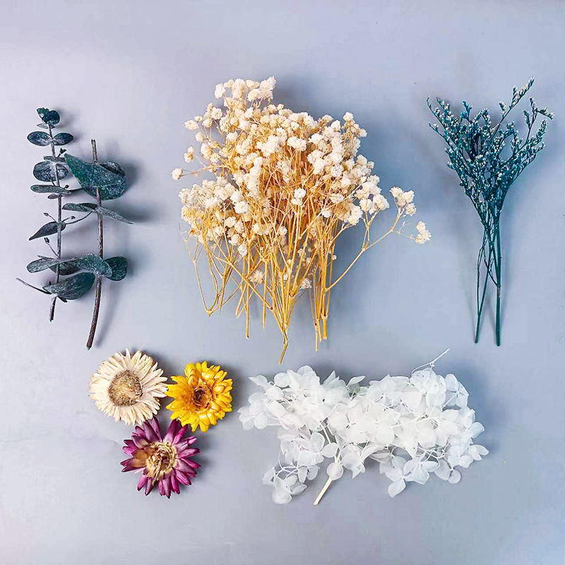 Baby Products Gift - 1pack Multifarious Dried Flowers Set For