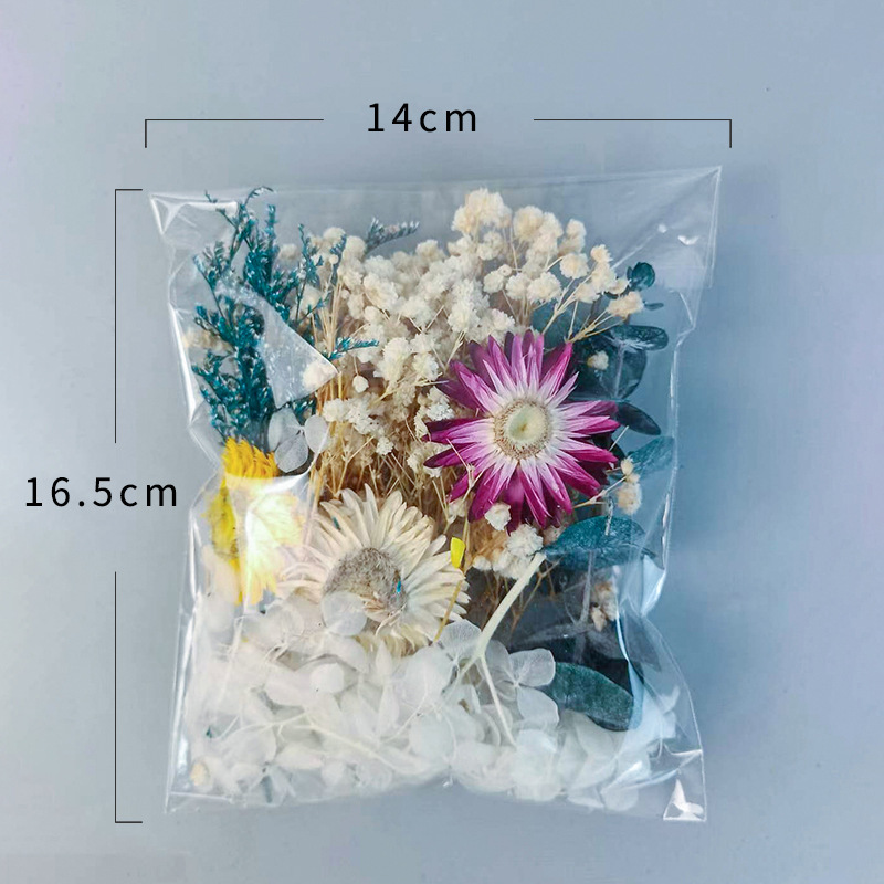 1pack Multifarious Dried Flowe – Baby Products Gift recenzja i cena