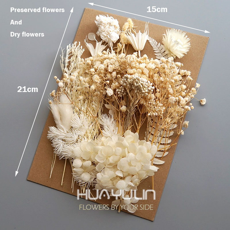 1 Pack Artificial Plants Dried – Baby Products Set recenzja i cena